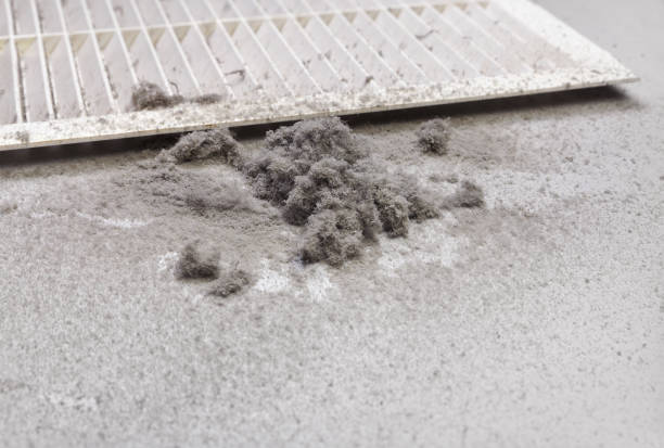 Best Air Duct Cleaning Company Near Me  in Baywood, NY