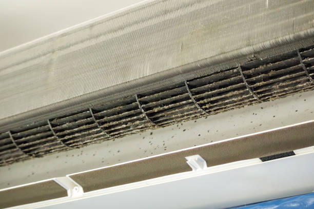 Best Emergency Air Duct Cleaning  in Baywood, NY